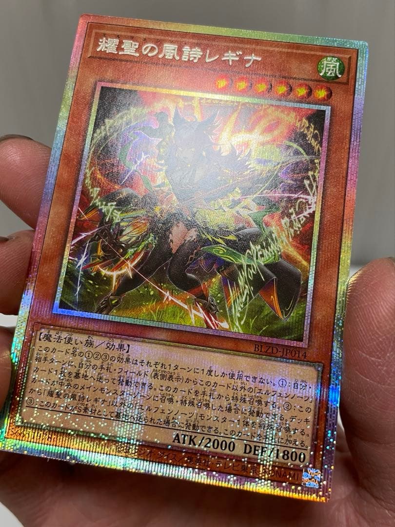 【最安値】エルフェンノーツ　レギナ　プリシク