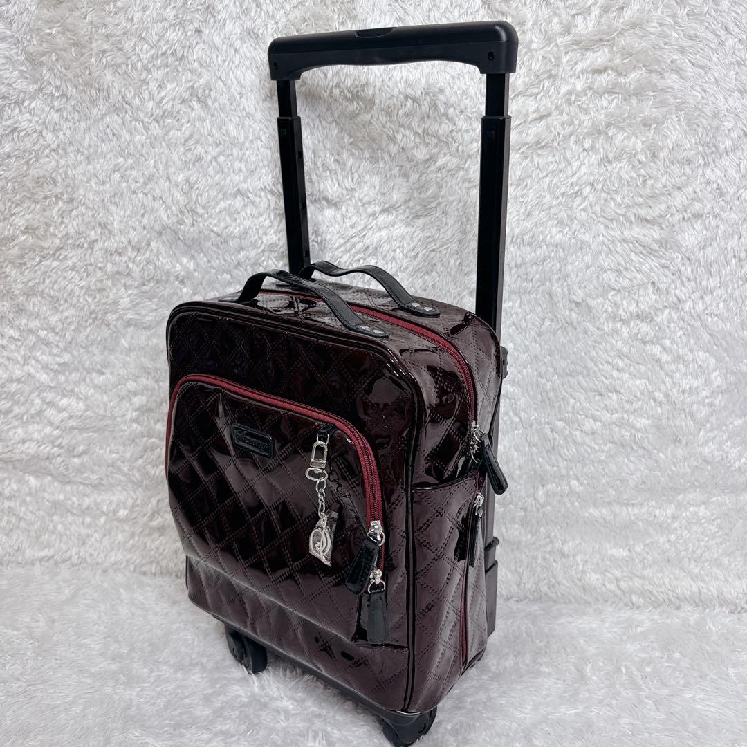 【未使用級✨】SWANY スワニー キャリーバッグ ソフトキャリーケース カート