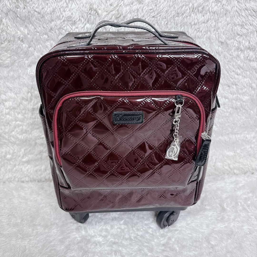 【未使用級✨】SWANY スワニー キャリーバッグ ソフトキャリーケース カート