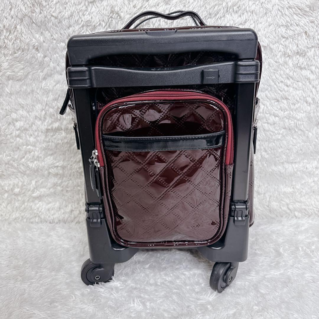 【未使用級✨】SWANY スワニー キャリーバッグ ソフトキャリーケース カート