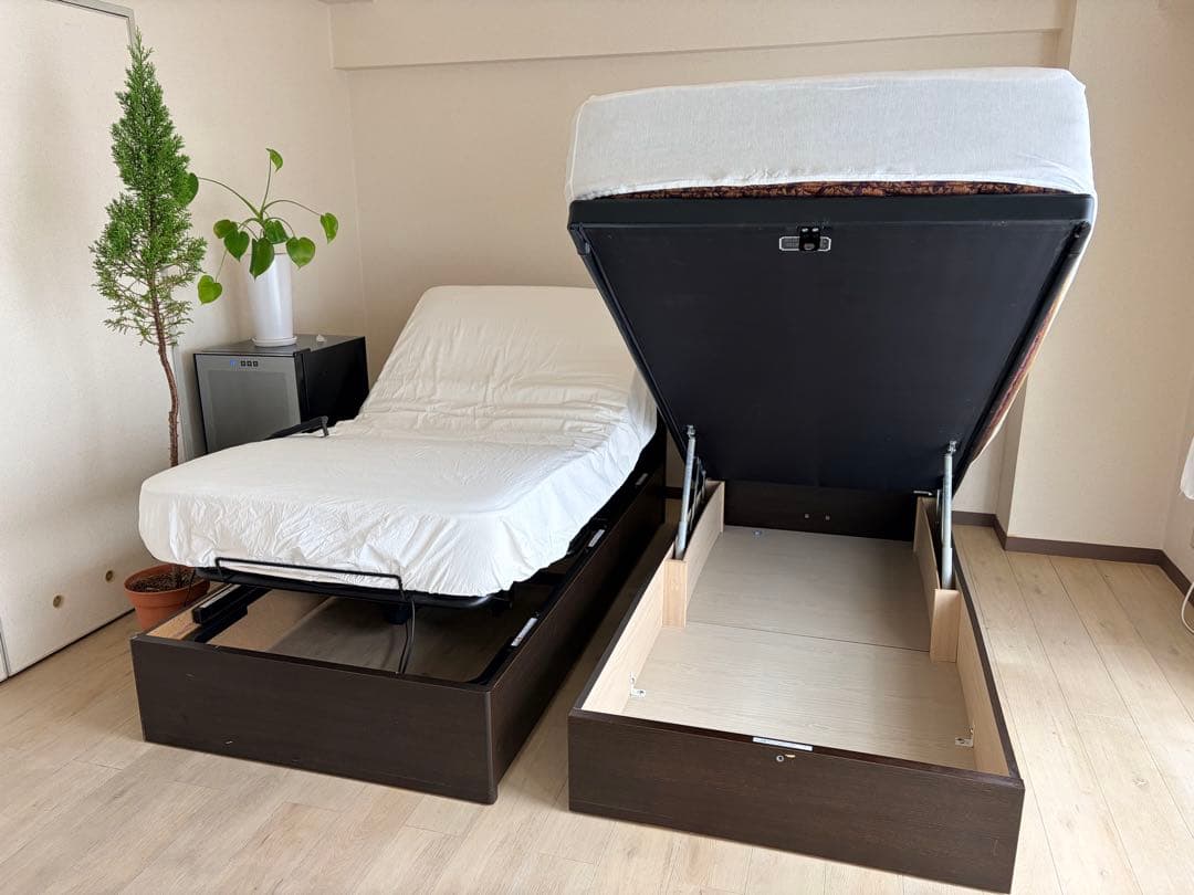 ドリームベッド (介護可能電動式ベッドと、収納式ベッド)