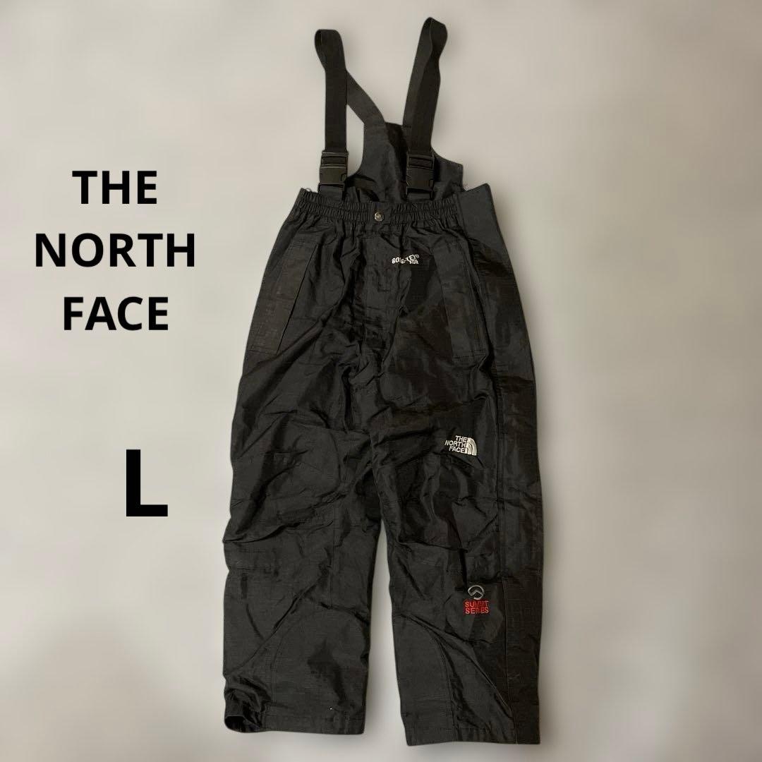 ザ・ノース・フェイスのサミットシリーズに属するGORE-TEX製のスノーパンツL