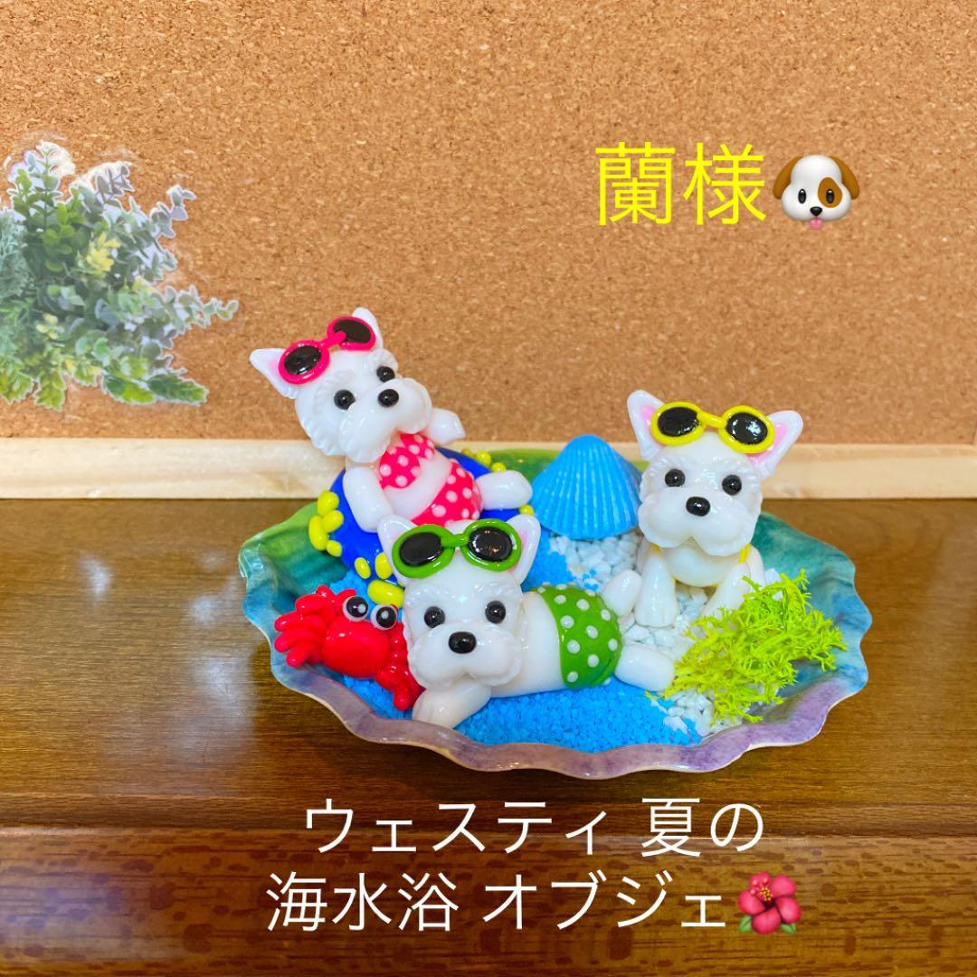 蘭様❤ウエストハイランドホワイトテリア 夏のオブジェ♡