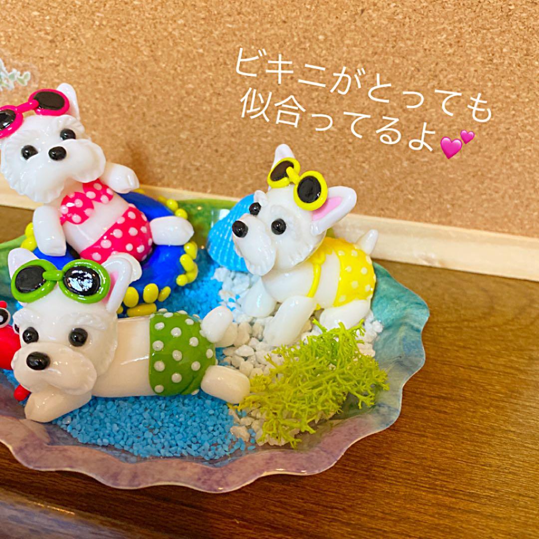 蘭様❤ウエストハイランドホワイトテリア 夏のオブジェ♡