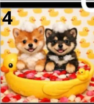 オーダーページ　258 ハンカチ　アヒル風呂わんこ柄　1/15　ハンドメイド