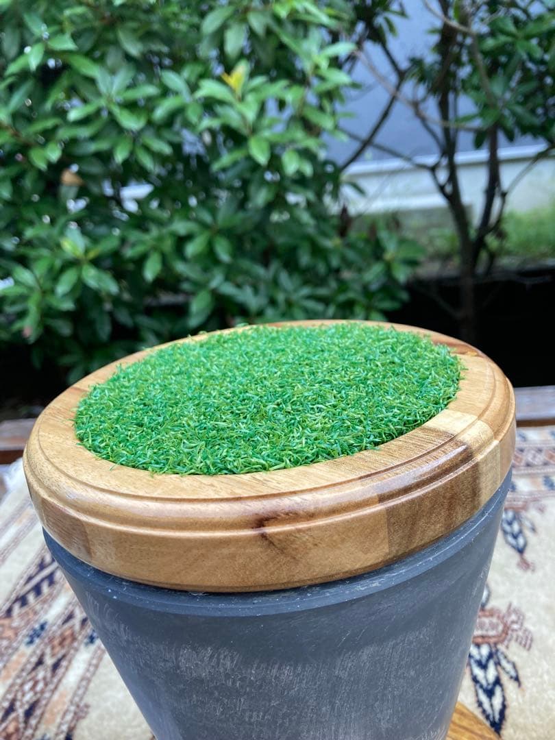 大型猛禽パーチＤ　ファルコンブロック