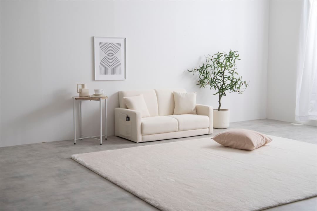 【送料無料】ソファ 2人掛けコンパクトソファ クッション付き 一人暮らし 天然木