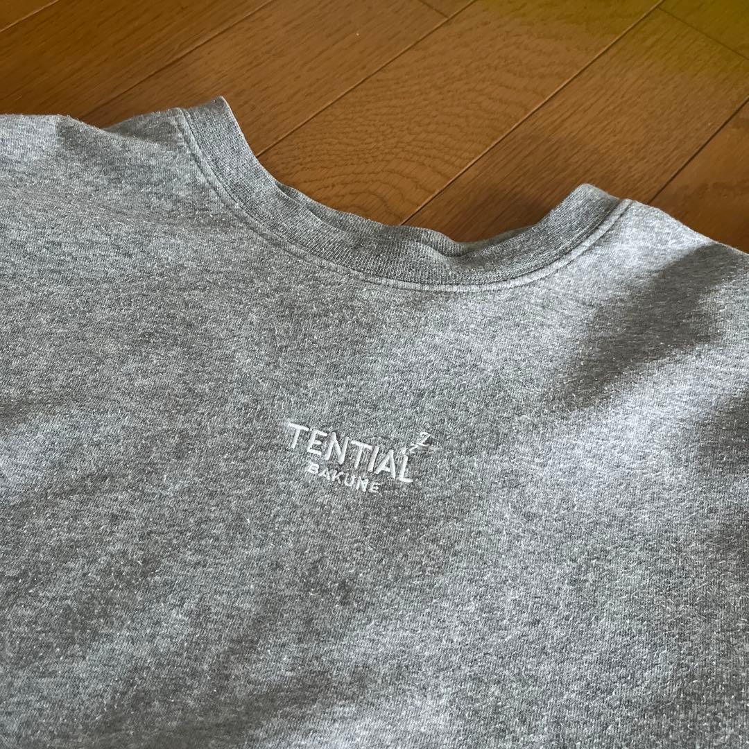 TENTIAL リカバリーウェア　レディース　上下　グレー L