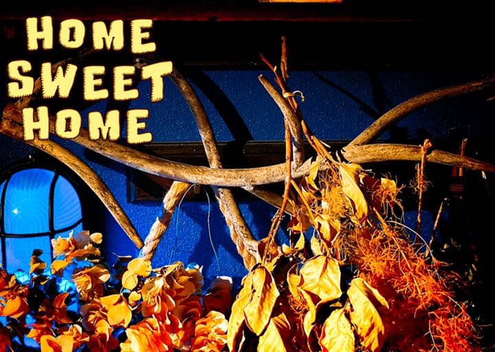 アンティーク◆枝木アイアンウォールハンガー◆フレンチ雑貨◆シャビー◆カントリー