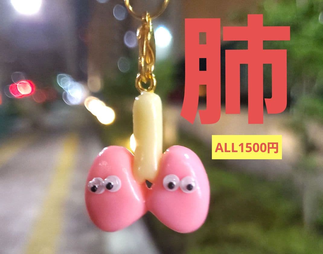 肺　臓器　手作り　キーホルダー　看護