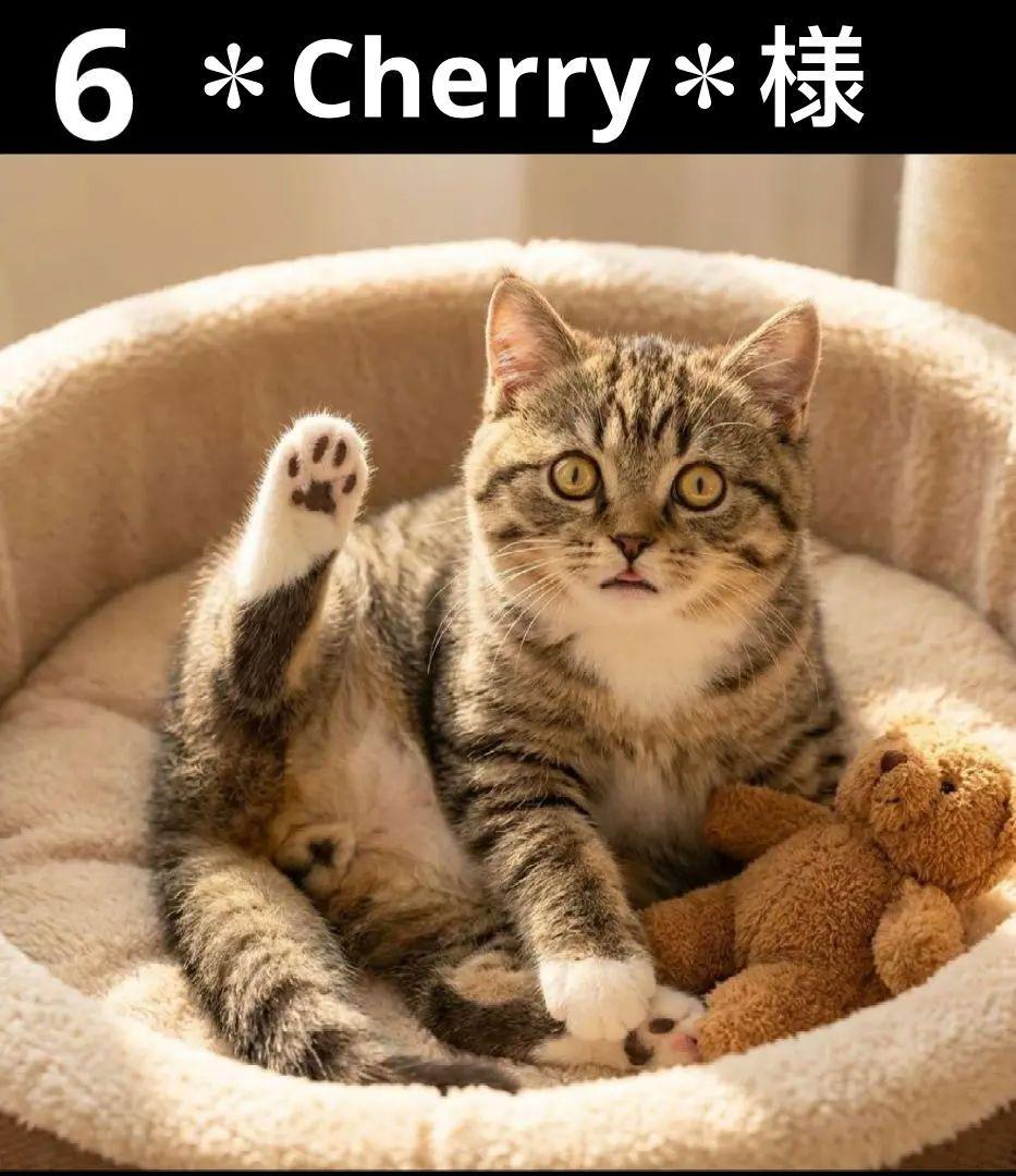 オーダーページ　ハンカチ　288 ねこちゃん柄 ハンドメイド1/19