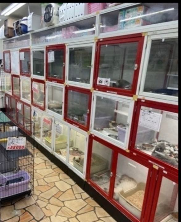 犬舎　猫舎　ハウス