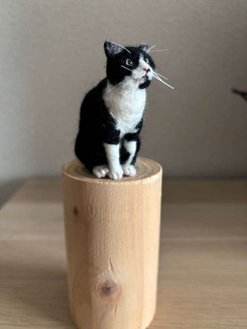 羊毛フェルト 猫 ハチワレ