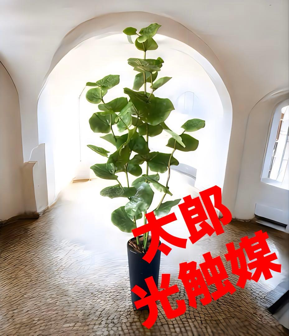 光触媒　人工観葉植物　ウォールグリーン　フェイクグリーン　シーグレープ120