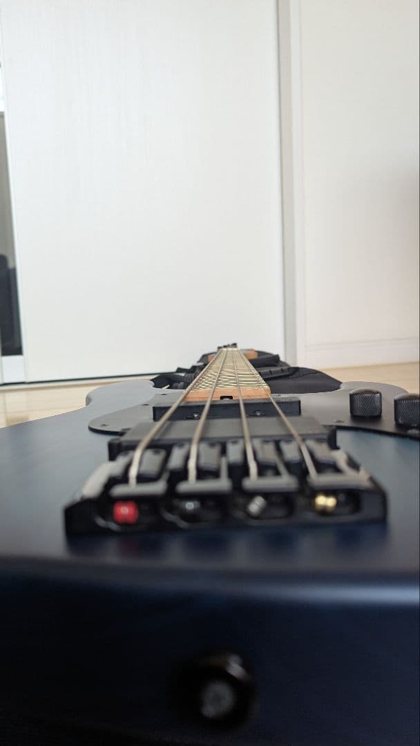 FUJIGEN (フジゲン) JMJ2-ASH-DE-M Mighty ベース