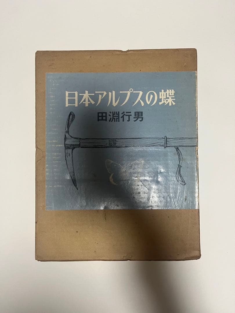 日本アルプスの蝶