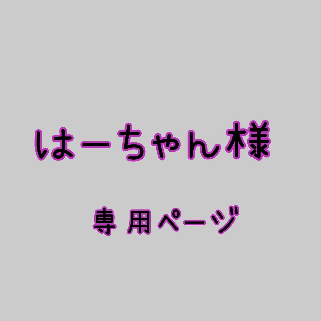 はーちゃん様➰️専用ページ