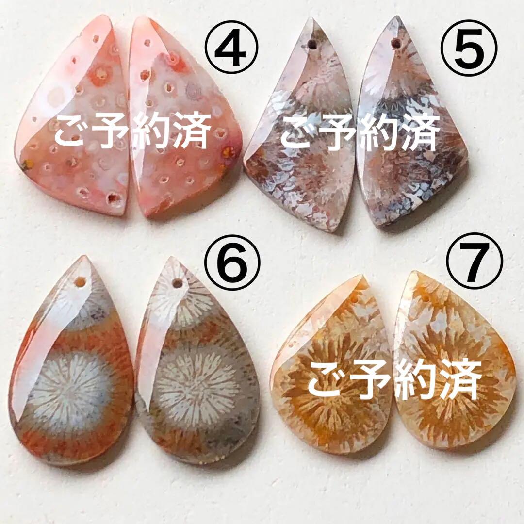 天然石♡フォッシルコーラルのピアス14kgf