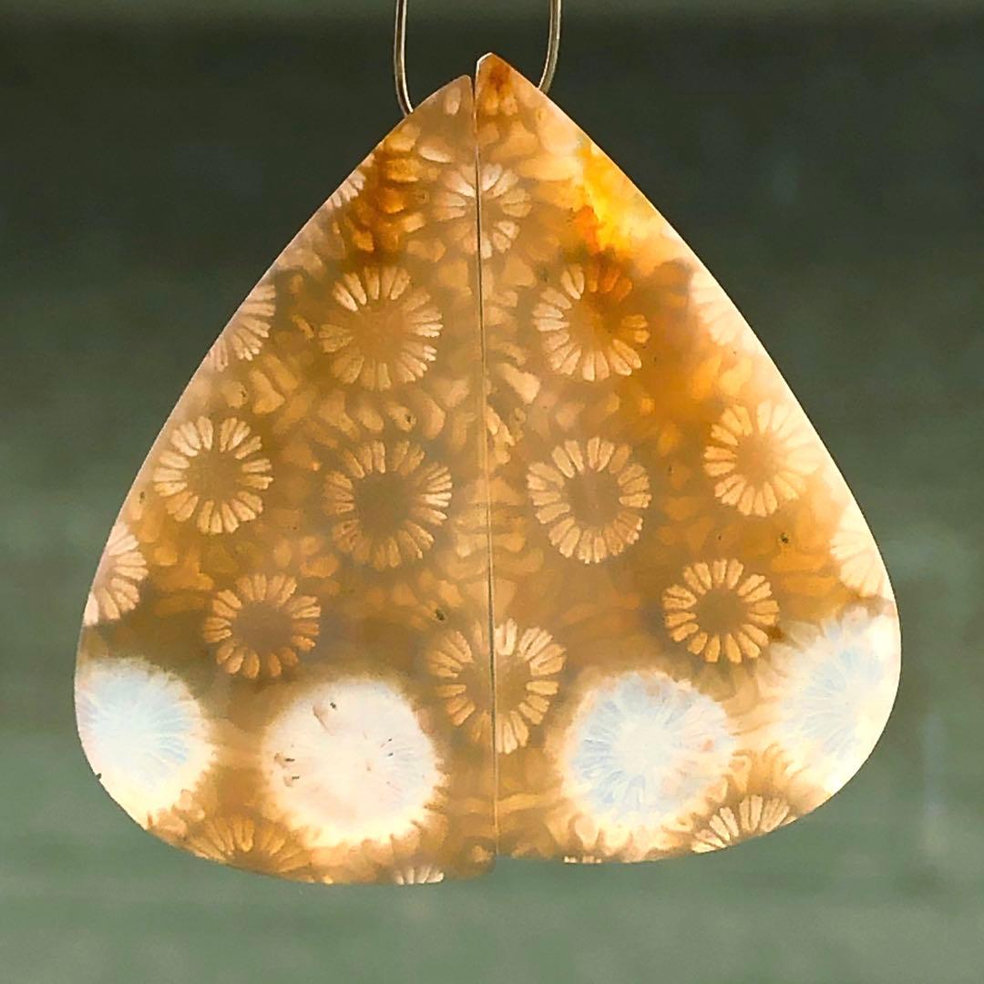 天然石♡フォッシルコーラルのピアス14kgf