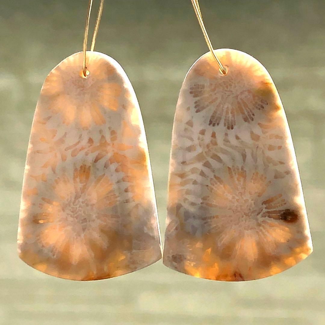 天然石♡フォッシルコーラルのピアス14kgf