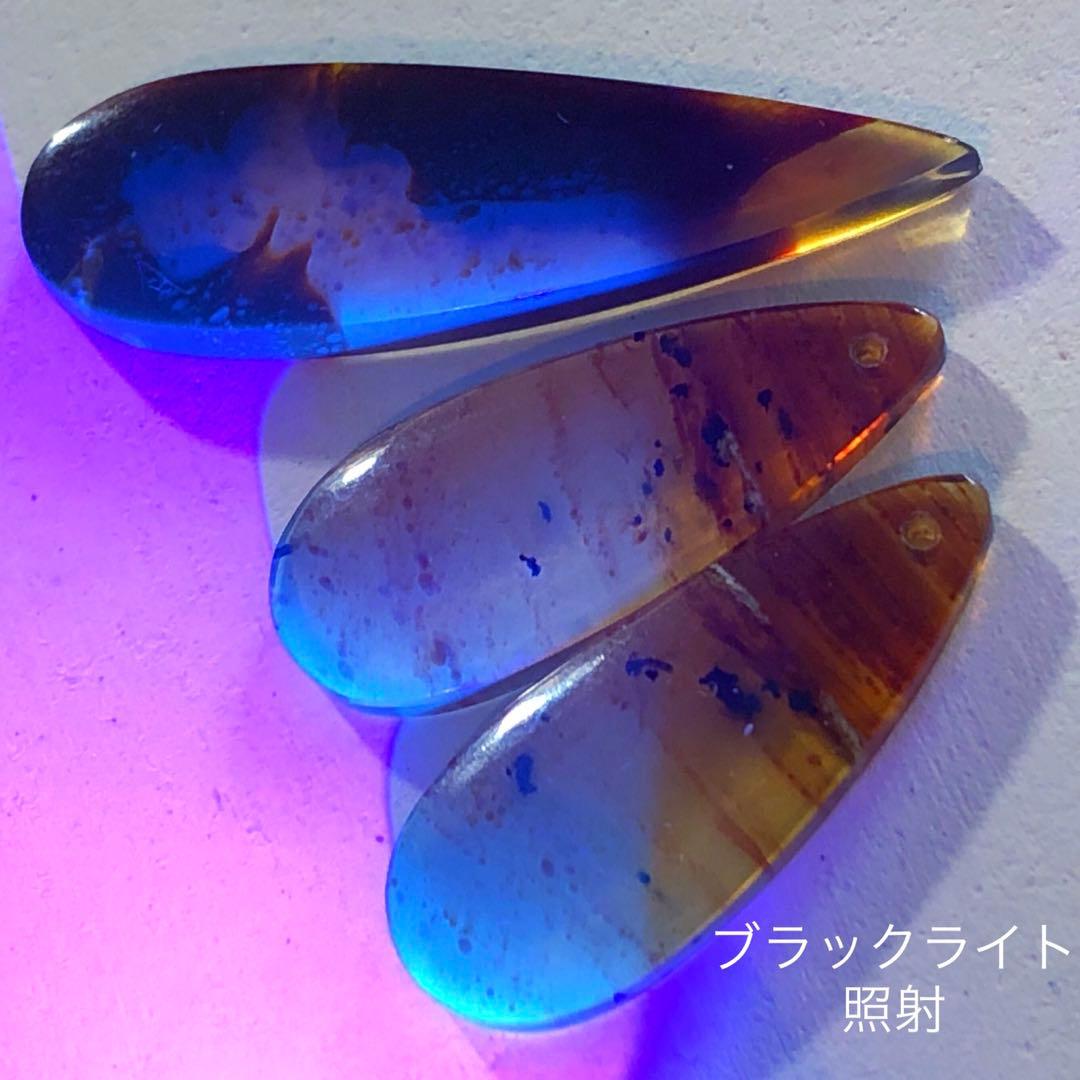 天然石♡フォッシルコーラルのピアス14kgf