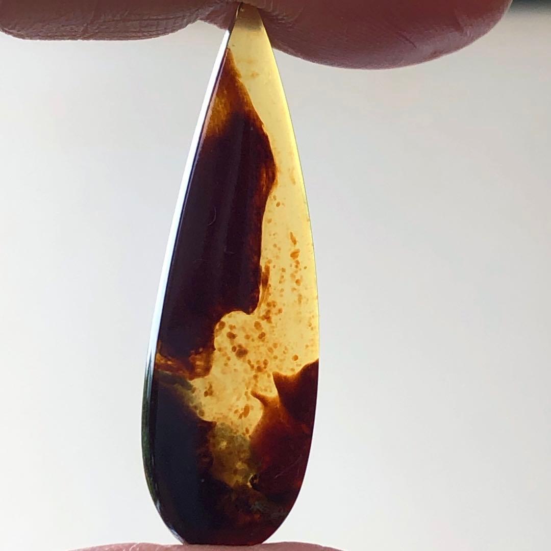 天然石♡フォッシルコーラルのピアス14kgf