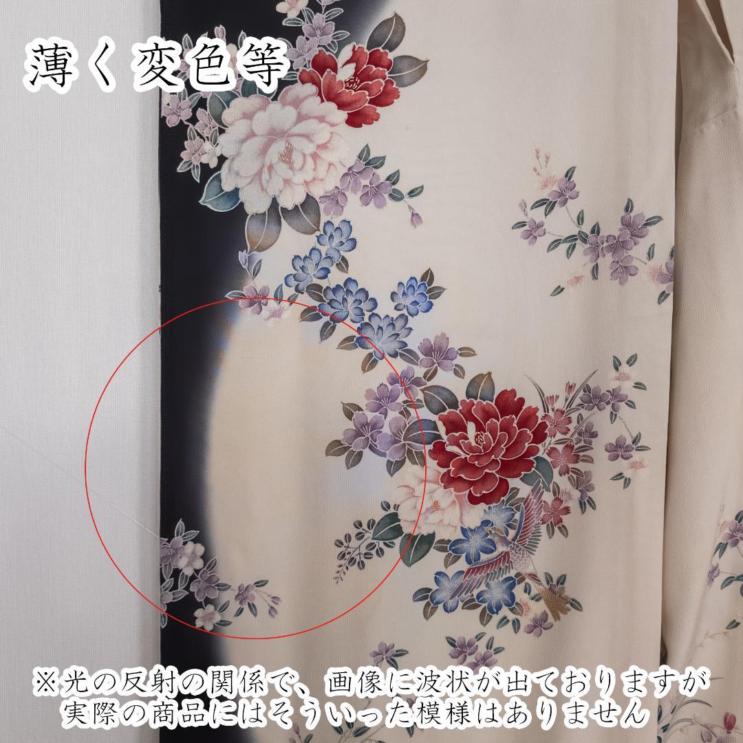 chika200555 R7SK1327 振袖+帯 2点セット 六通柄