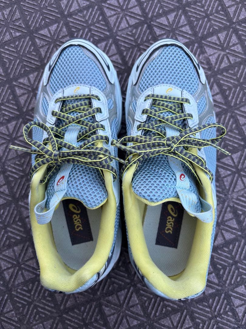 asics キココスタディノフ 24