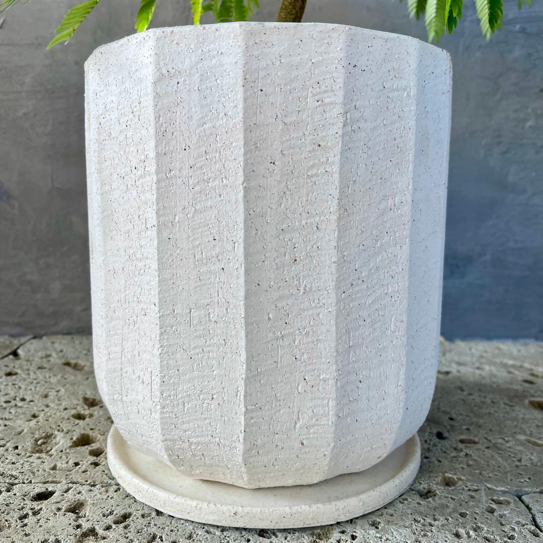 大型　エバーフレッシュ　曲がり　陶器鉢　植え込み発送