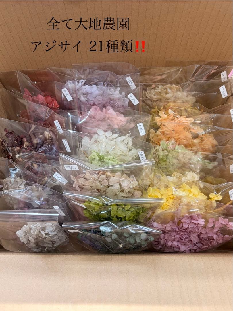 大地農園〜他花材、アレンジ雑貨まとめ売り☆赤字覚悟の出品です‼️