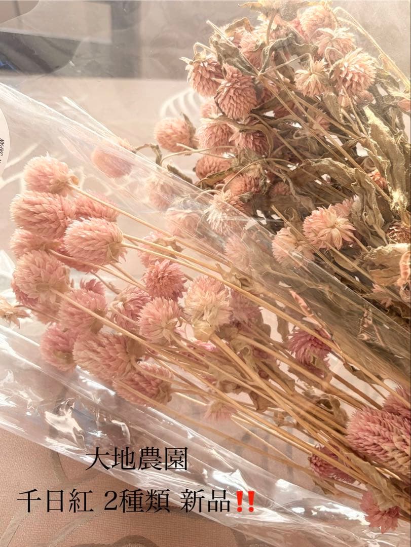 大地農園〜他花材、アレンジ雑貨まとめ売り☆赤字覚悟の出品です‼️