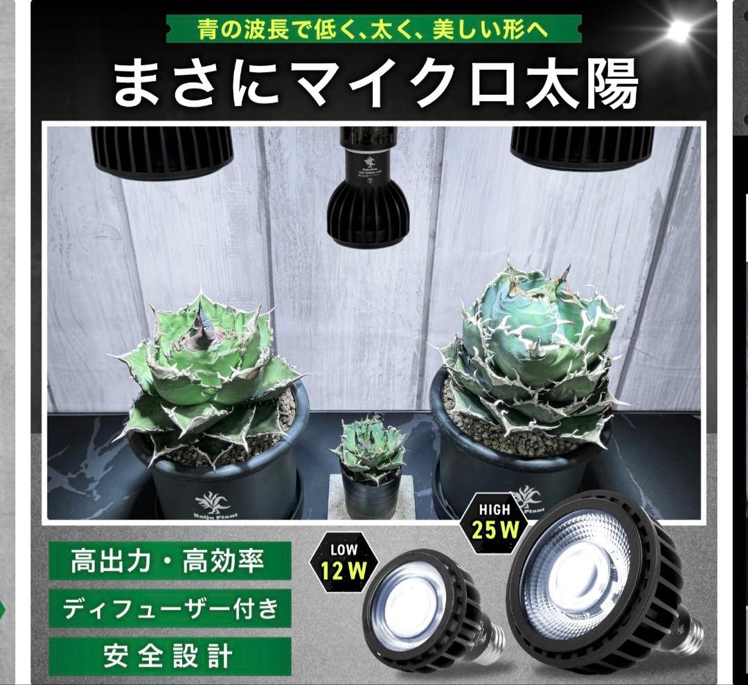 植物育成ライトLED12w ソケット付き3個セット