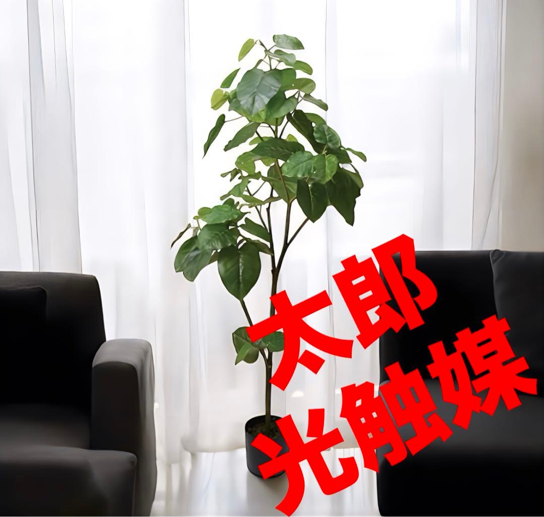 光触媒　人工観葉植物　ウォールグリーン　フェイクグリーン　ウンベラータ18085