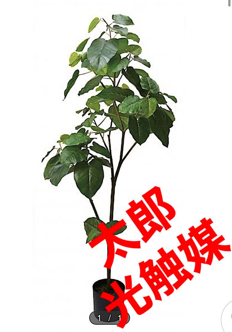 光触媒　人工観葉植物　ウォールグリーン　フェイクグリーン　ウンベラータ18085