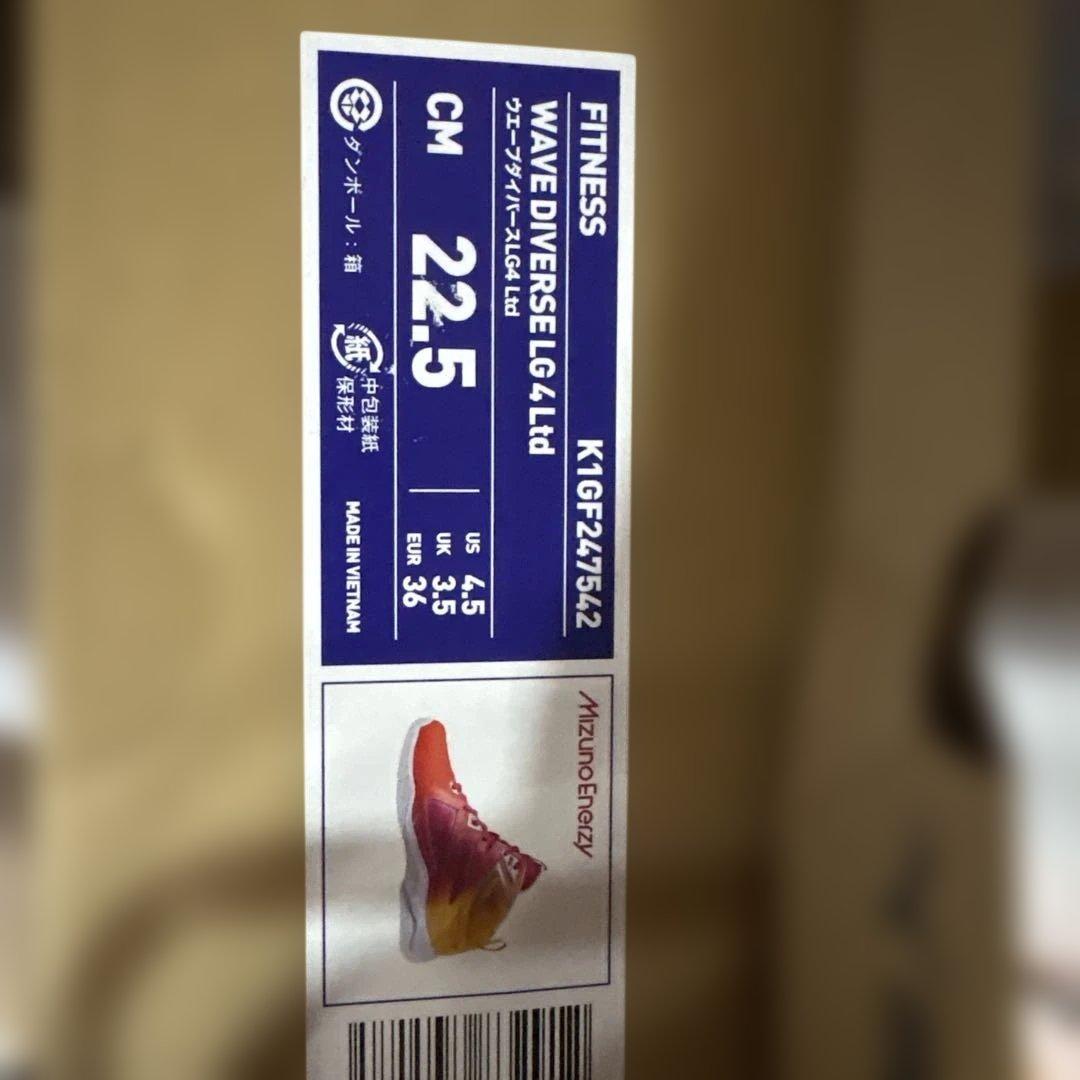 ミズノ　ウェーブダイバーズLG4