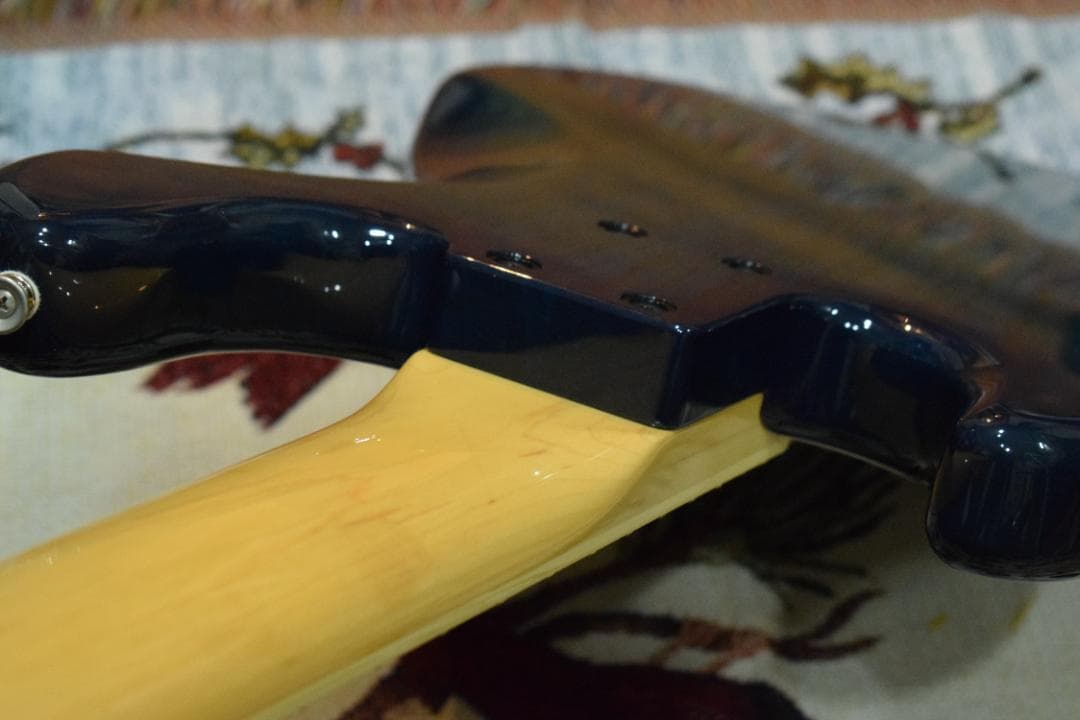 FGN NJB10MBAHV-SBB/01 5弦 状態良好 ケース付