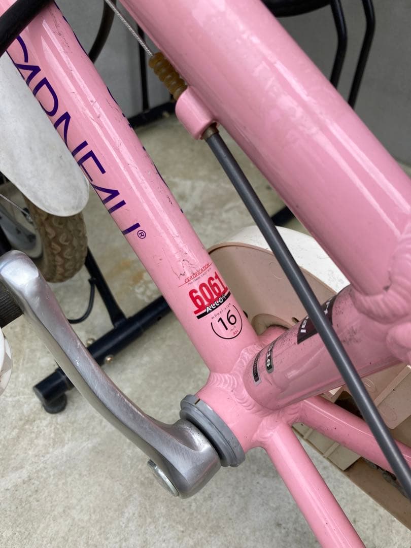 ルイガノ16インチ