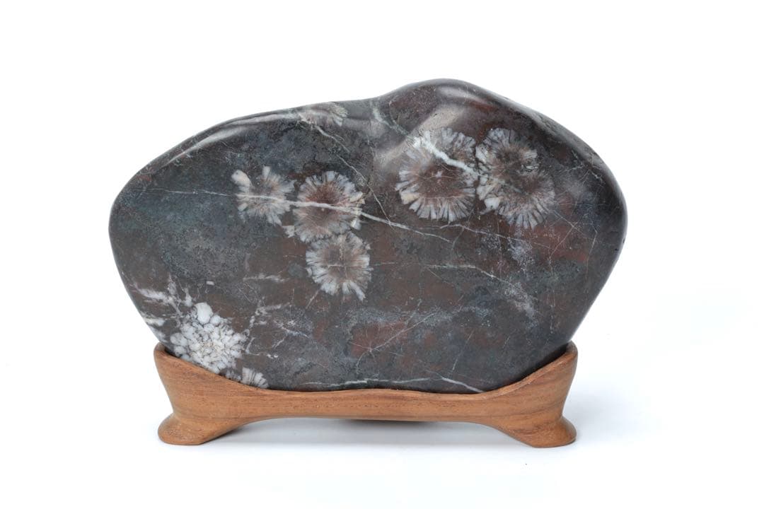 菊花石 紋石 鑑賞石 1.5kg 台座付 天然石 原石 水石 盆石 飾石 古美術