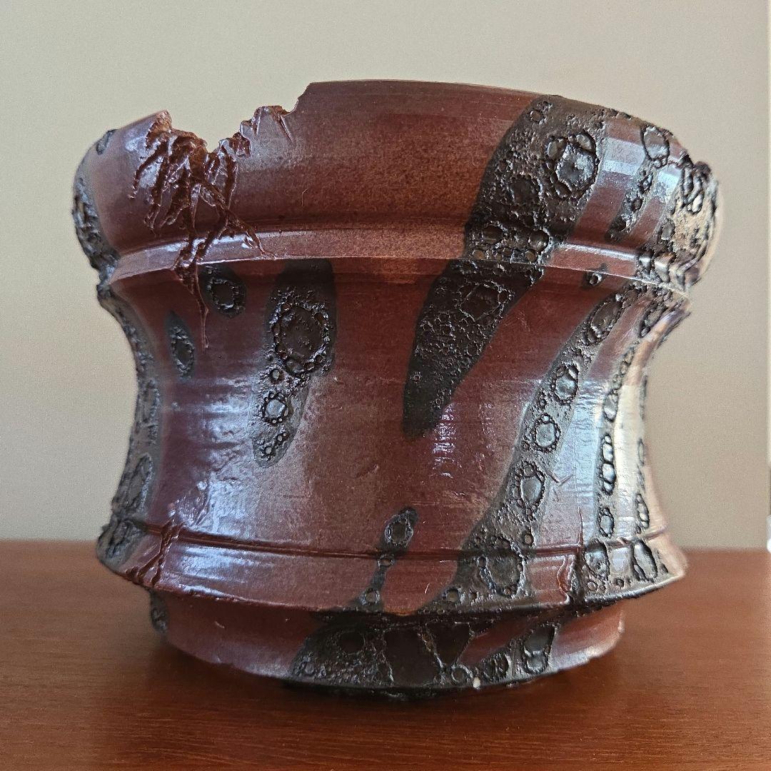 soil skills design SSD鉢植木鉢　陶器鉢 アガベ 塊根 大鉢