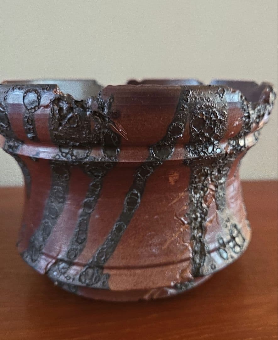 soil skills design SSD鉢植木鉢　陶器鉢 アガベ 塊根 大鉢