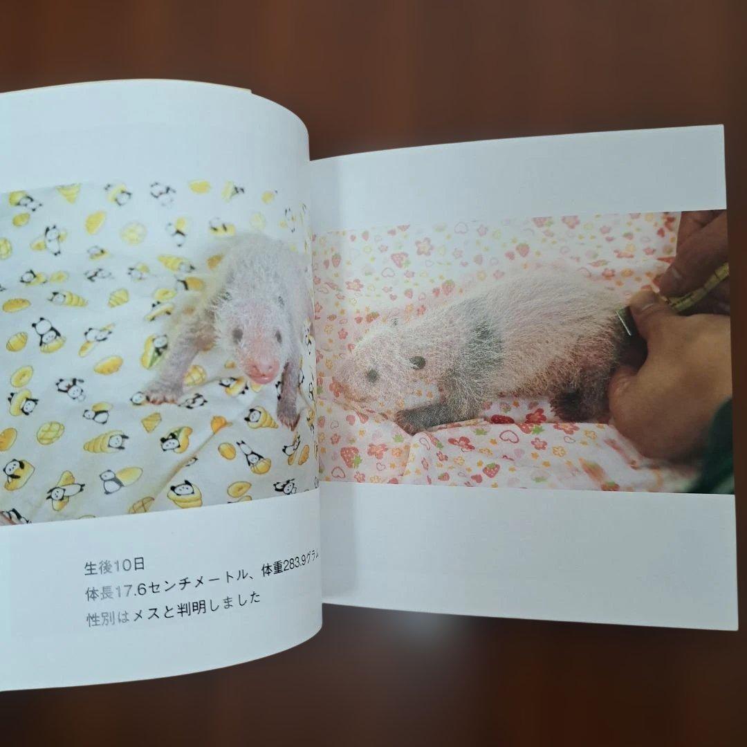 すくすく、シャンシャン(上野動物園)