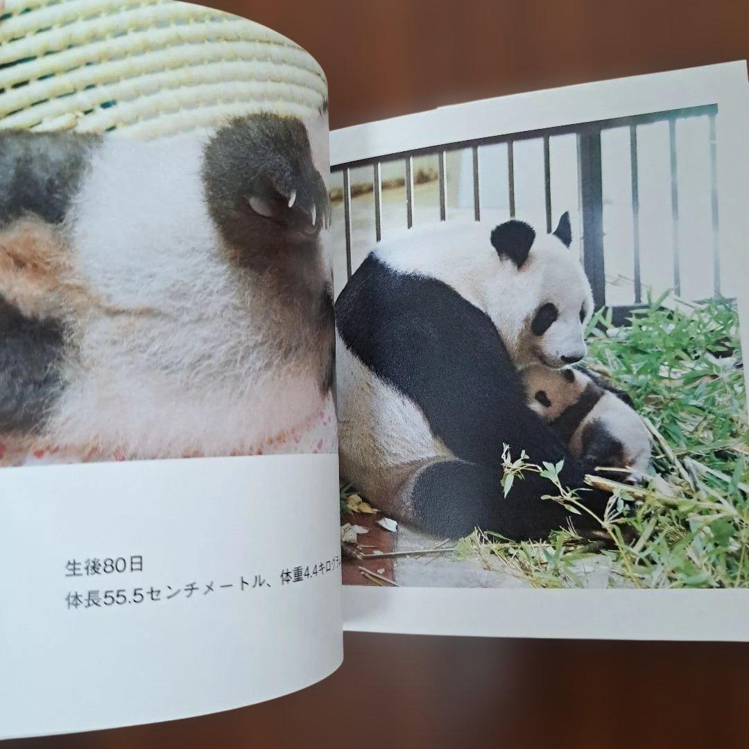 すくすく、シャンシャン(上野動物園)