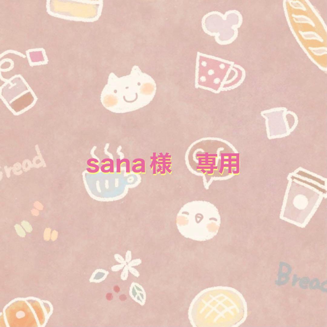 フラーレン　sana