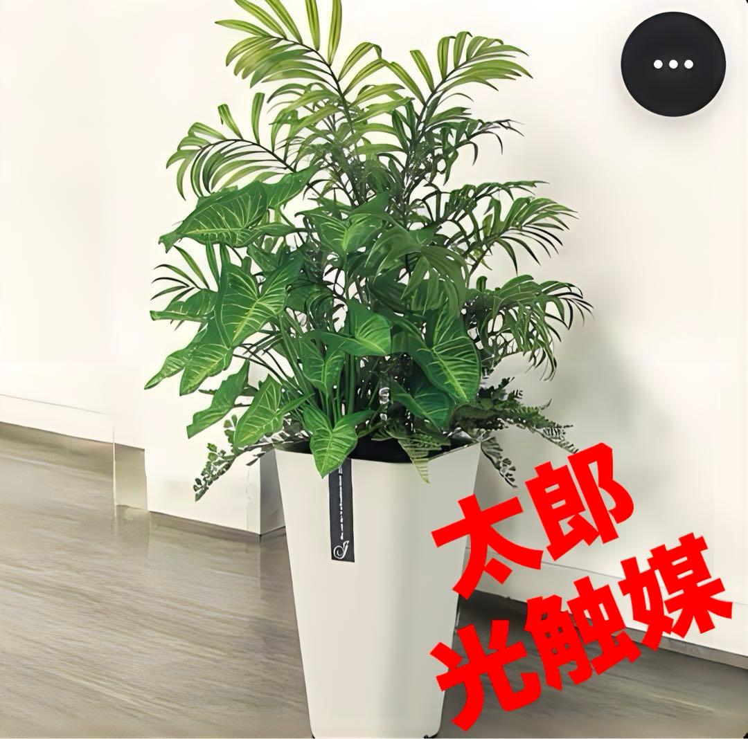 光触媒　人工観葉植物　ウォールグリーン　フェイクグリーン　テーブルヤシアレンジ@