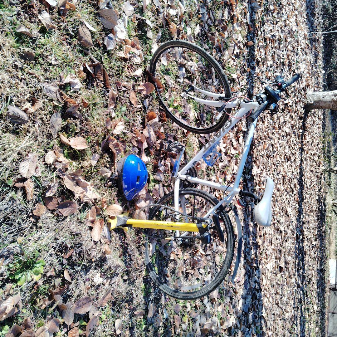 ESCAPE ホワイト ロードバイク