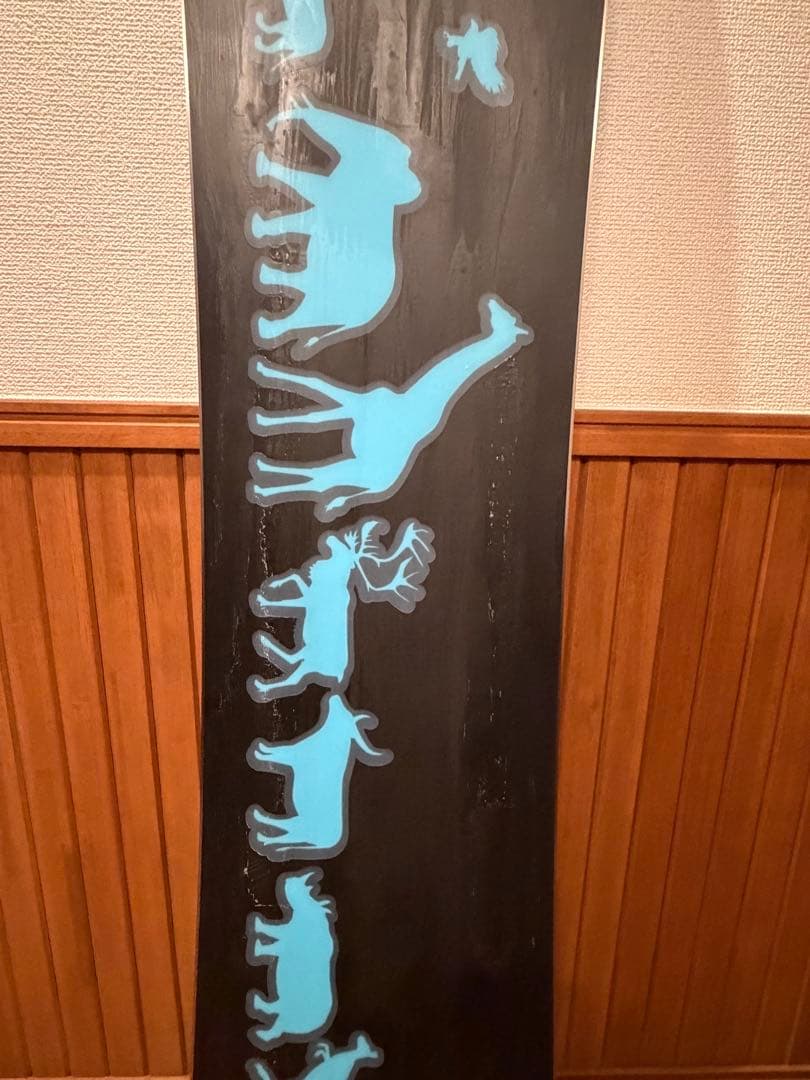 24-25　noah Special-XX 147cm ノア ソールカバー付