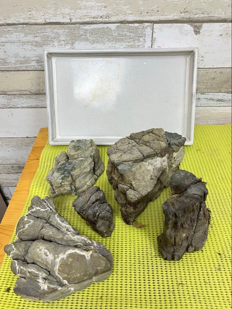 【5個セット】誉平(ポンピラ）石　自然石　水石 盆栽 鑑賞　台座付き