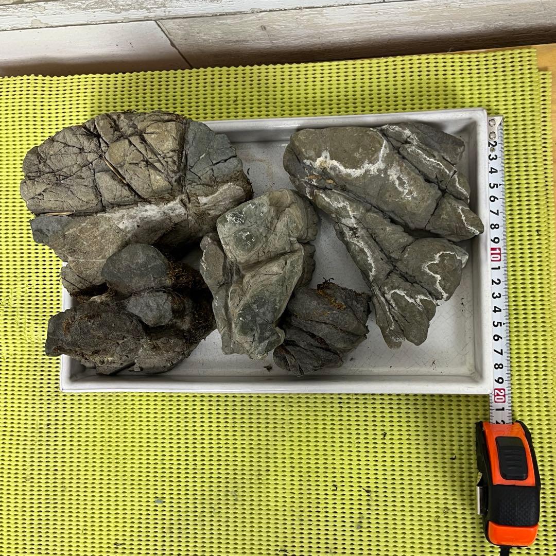 【5個セット】誉平(ポンピラ）石　自然石　水石 盆栽 鑑賞　台座付き