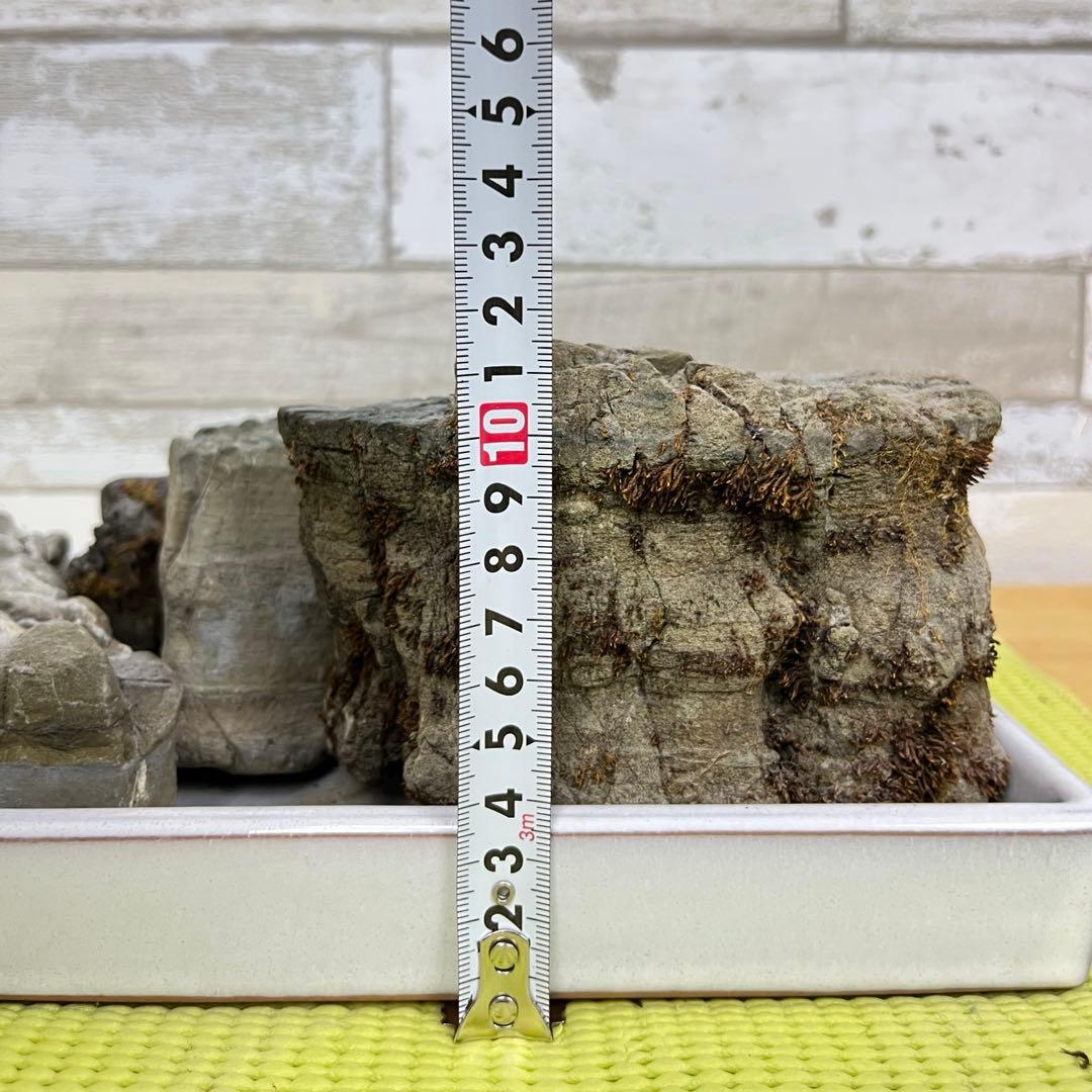 【5個セット】誉平(ポンピラ）石　自然石　水石 盆栽 鑑賞　台座付き