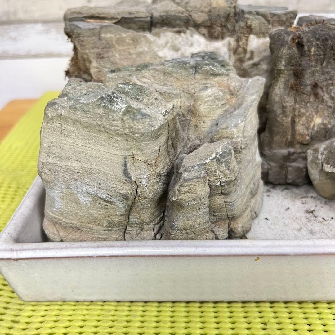 【5個セット】誉平(ポンピラ）石　自然石　水石 盆栽 鑑賞　台座付き